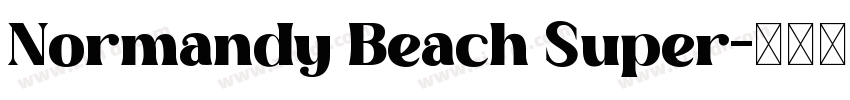 Normandy Beach Super字体转换